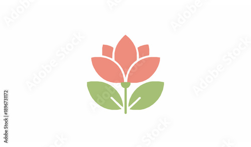 White shapla flower vector illustration national flower of Bangladesh
