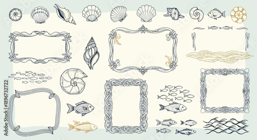 hand drawn marine elements an illustrated set of seashells fish and nautical frames for vintage coastal and ocean designs.