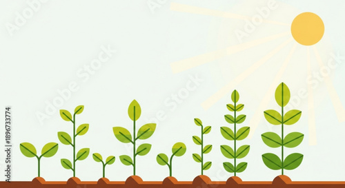 Green plants growing in soil under sunny sky with varying leaf sizes and growth stages