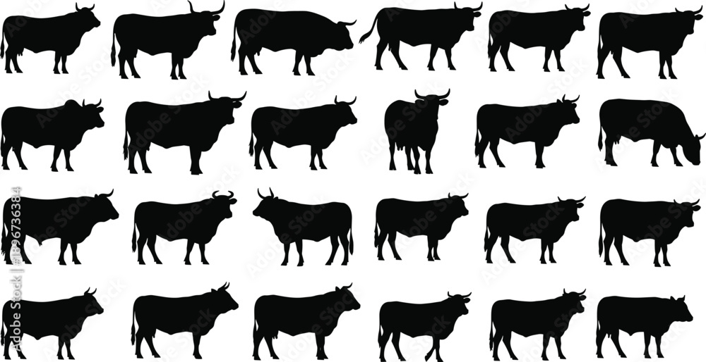 Obraz premium Collection of Bull Silhouette Vector Illustration Set, Different Cattle Breeds Including Male Cow Ox and Livestock for Farming Agriculture Beef and Ranch Design