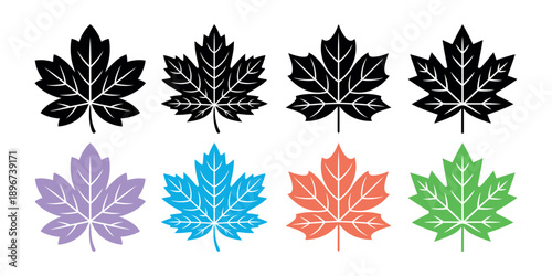 A collection of colorful and black maple leaves arranged in two rows