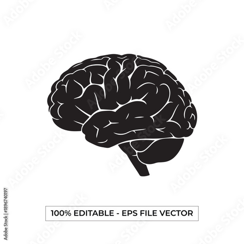 Black silhouette of a human brain, showing the cerebrum, cerebellum, and brainstem, isolated on a white background, representing intelligence and thought.