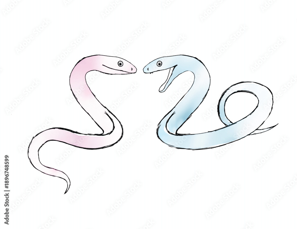 Fototapeta premium Two Snakes Forming Heart Shape Vector Illustration