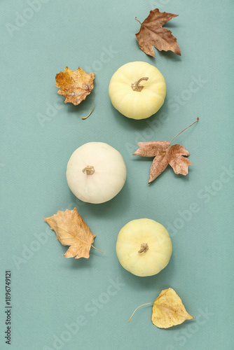 White mini pumpkins and dry...
