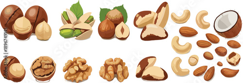 Assorted Nuts Collection Flat Vector Illustration with Almond, Cashew, Walnut, Pistachio and Coconut for Healthy Food