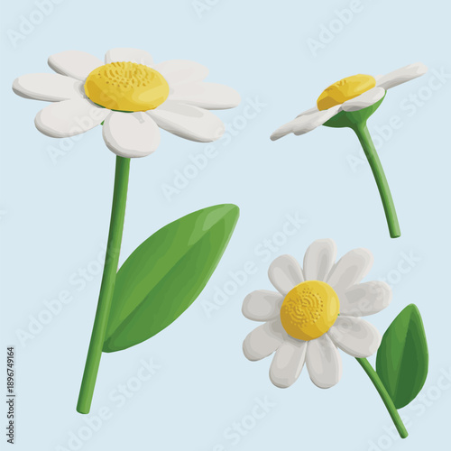 Camomile on a blue background. Daisy plastic flower with white petals, green stem and leaf in different angles of view cartoon icon 3d render illustration