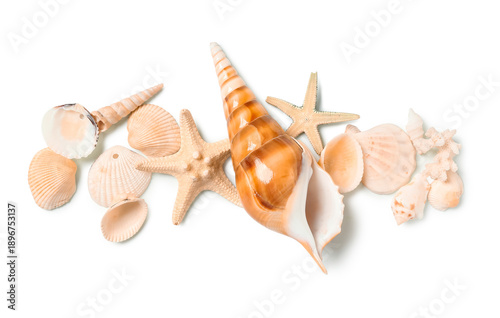 Seashells and starfishes on...