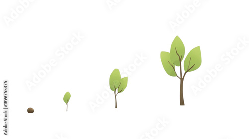 Simple illustration showing the continuous growth cycle of a small sapling into a mature tree