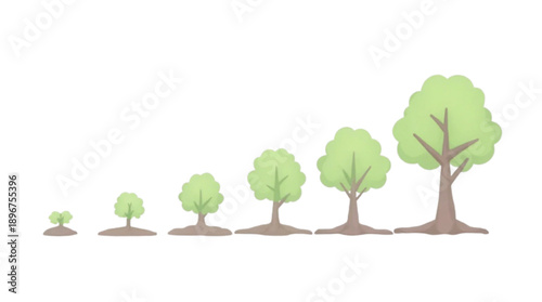 Sequence illustrating progressive growth stages from a tiny seedling to a large mature tree