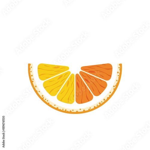 Citrus fruit slice segments colorful.