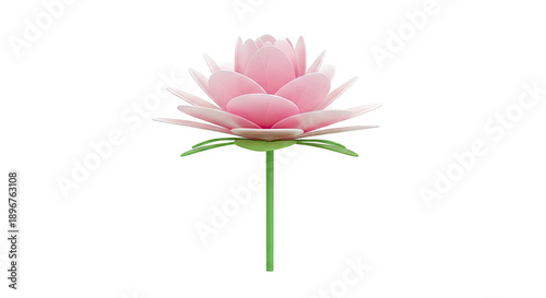 Pink Lotus Flower Isolated on White Background