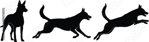 Dog silhouette running sequence, standing and jumping canine poses, animal motion study, black vector illustration, isolated white background
