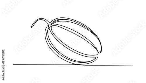 One continuous line illustration of an Christmas Melon, isolated on white background.