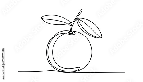 Canvastavla One continuous line illustration of an Clementine, isolated on white background