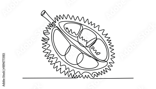 One continuous line illustration of an Durian fruit, isolated on white background.