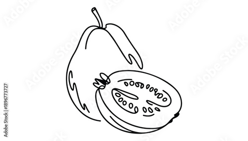One continuous line illustration of an Guava fruits, isolated on white background.