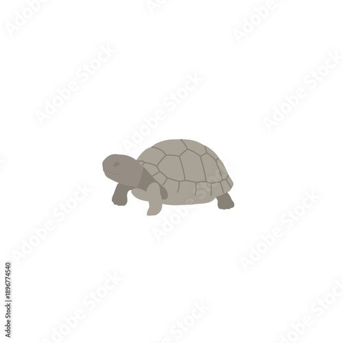 Minimalist Gray Tortoise Vector Illustration Isolated on White Background in Simple Flat Design Style.