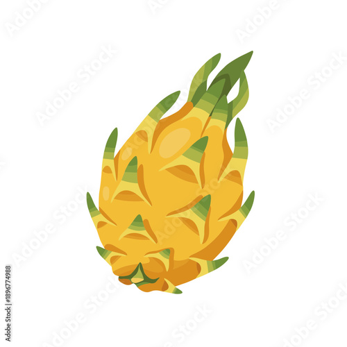 Exotic Yellow Dragon Fruit or Pitaya Whole Tropical Fruit Vector Illustration Isolated on White Background for Healthy Eating and Food Design.