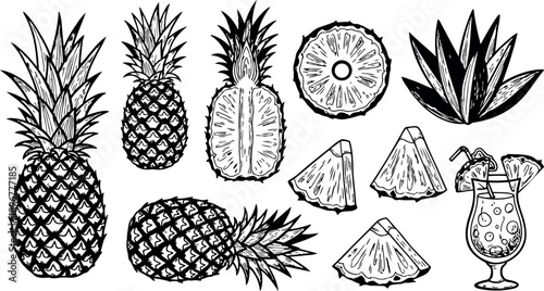 Black and white line art pineapple whole slices and tropical cocktail with garnish detailed hand drawn vintage style illustration