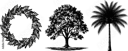 Laurel wreath silhouette, deciduous tree icon, tropical palm tree graphic, black botanical symbols, nature vector set, victory emblem, plant illustration design