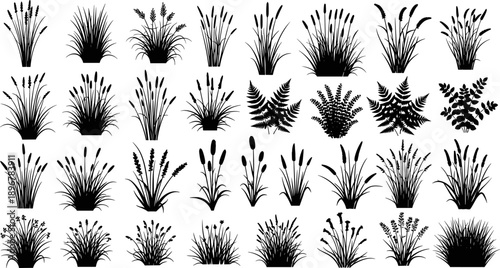 Plant silhouette collection, grass and fern icons, black botanical vector set, flowering plant graphics, nature design elements, landscape illustration, foliage diversity symbols