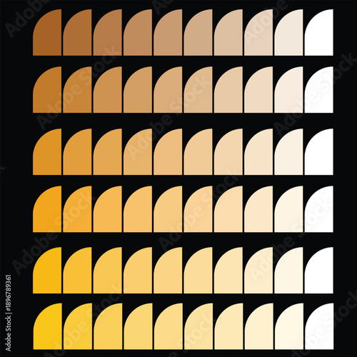 Set of 40 color palette swatches vector