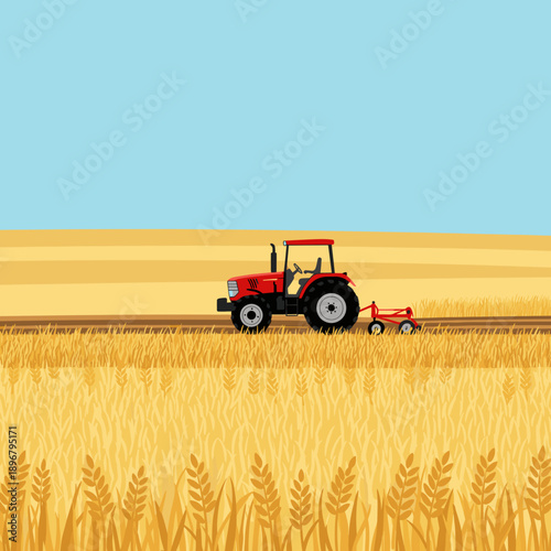 Red tractor plowing golden wheat fields under a clear blue sky at harvest time