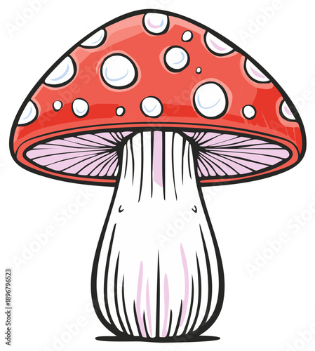 Red Mushroom with White Spots Illustration Fungi Toadstool Isolated