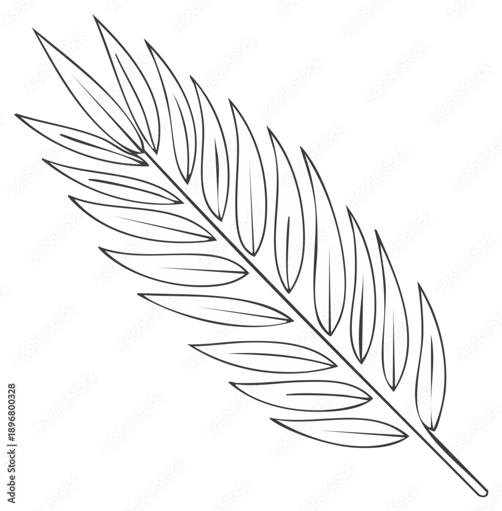 Obraz premium Elegant black and white outline of a palm frond with delicate leaves