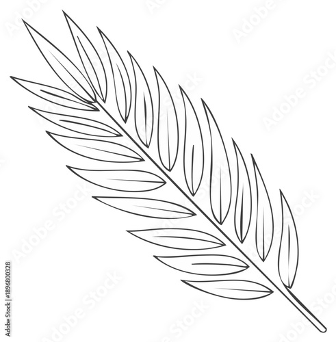 Elegant black and white outline of a palm frond with delicate leaves