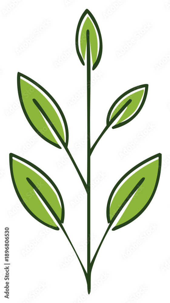 Obraz premium Green leaf stem with stylized leaves, illustration of a plant. Decorative nature element.
