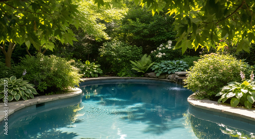 Secluded natural swimming pool surrounded by vibrant green foliage and trees