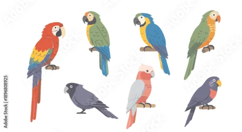 Fototapeta samoprzylepna Collection of colorful parrots and cockatoos perched on branches.