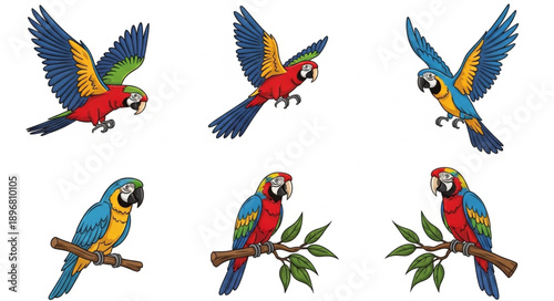 Collection of Colorful Macaw Parrots in Various Poses.