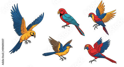 Collection of colorful macaws in various poses.