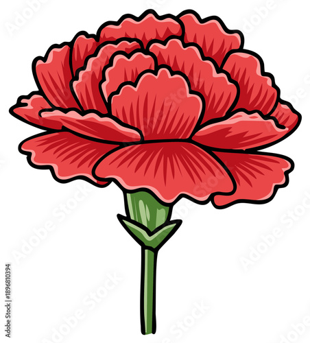 Vibrant red carnation flower illustration with green stem and bold black outline vector art