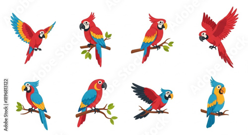 Collection of colorful parrots in various poses and flight.