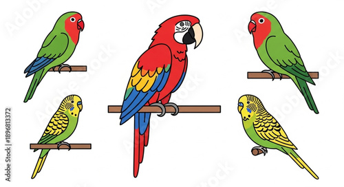Collection of colorful parrots perched on branches illustration.