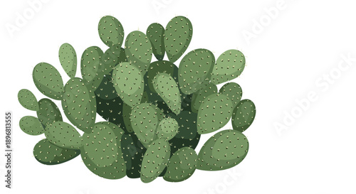 Detailed illustration of a large cluster of green prickly pear cactus pads with many small thorns on a white background.