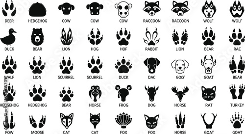 Animal tracks and wildlife face icons set isolated on white background black vector illustration collection for education design branding projects