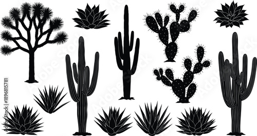 Desert cactus and agave silhouette collection with joshua tree and prickly pear isolated on white background vector botanical illustration set