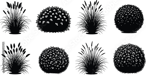 Garden bush and grass silhouette set with flowering shrubs and reeds isolated on white background black vector illustration collection