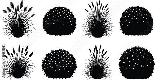 Garden bush and ornamental grass silhouette set with flowering shrubs and reeds isolated on white background black vector illustration collection