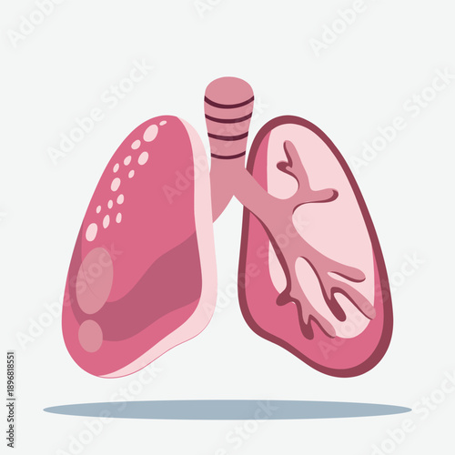 Stylized illustration of human lungs showing external and internal anatomy with bronchioles.