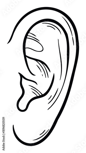 Black and white line drawing depicting a human ear with distinctive anatomical features perfect for medical diagrams educational materials and sound related presentations