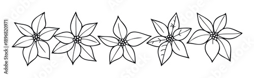 A continuous line of delicate poinsettia flowers with multiple petals and small centers, perfect for holiday greetings, Christmas decorations, or winter seasonal event invitations.