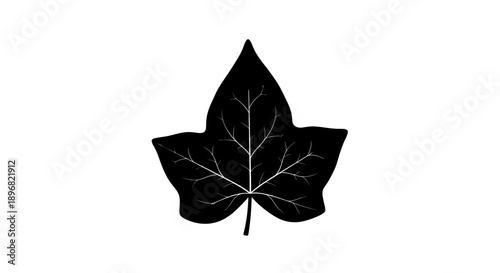 Black silhouette of a single ivy leaf with detailed veins.