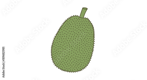 Green Spiky Tropical Jackfruit Fruit Illustration.