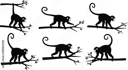 Monkey silhouettes on tree branches, playful primates climbing, hanging, walking, nature wildlife illustration, jungle animals vector art design