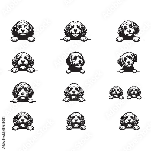 Peeking Cockapoo Dog Head svg Bundle 